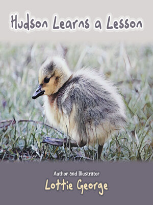 cover image of Hudson Learns a Lesson